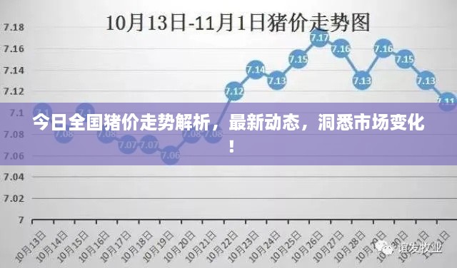 今日全國(guó)豬價(jià)走勢(shì)解析，最新動(dòng)態(tài)，洞悉市場(chǎng)變化！