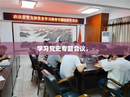 學(xué)習(xí)黨史專題會(huì)議， 