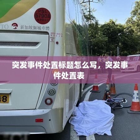 突發(fā)事件處置標(biāo)題怎么寫，突發(fā)事件處置表 