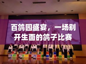 百鴿園盛宴，一場別開生面的鴿子比賽盛宴！