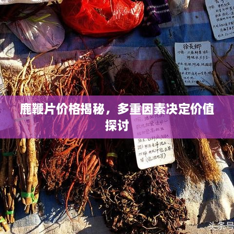鹿鞭片價(jià)格揭秘，多重因素決定價(jià)值探討