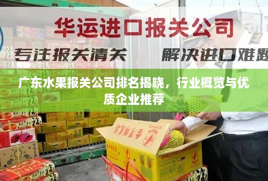 廣東水果報關(guān)公司排名揭曉，行業(yè)概覽與優(yōu)質(zhì)企業(yè)推薦