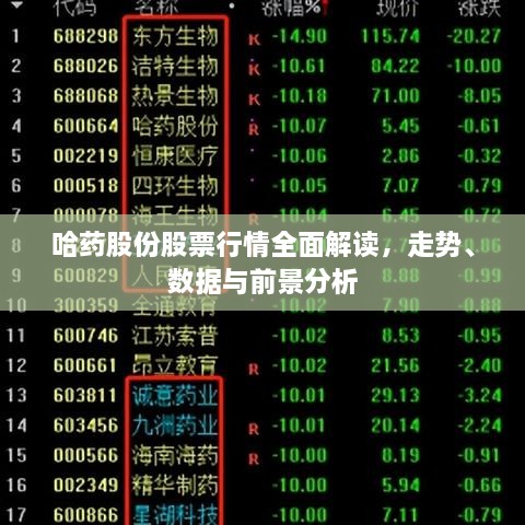 哈藥股份股票行情全面解讀，走勢(shì)、數(shù)據(jù)與前景分析
