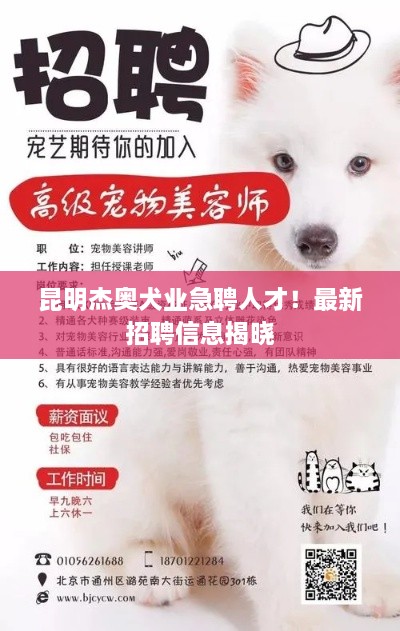 昆明杰奧犬業(yè)急聘人才！最新招聘信息揭曉
