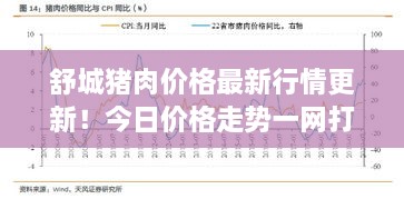 舒城豬肉價(jià)格最新行情更新！今日價(jià)格走勢一網(wǎng)打盡