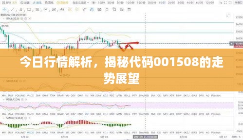 今日行情解析，揭秘代碼001508的走勢(shì)展望