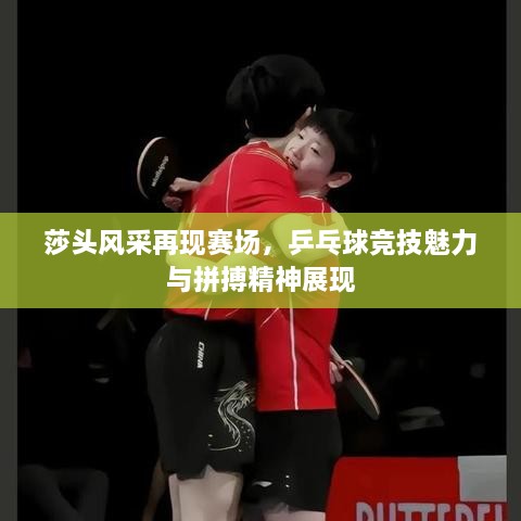 莎頭風(fēng)采再現(xiàn)賽場，乒乓球競技魅力與拼搏精神展現(xiàn)