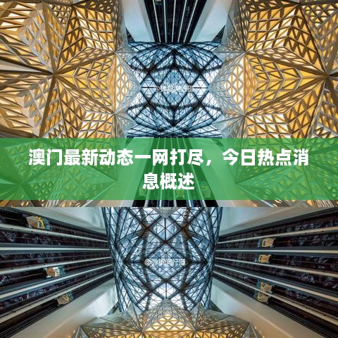 澳門(mén)最新動(dòng)態(tài)一網(wǎng)打盡，今日熱點(diǎn)消息概述