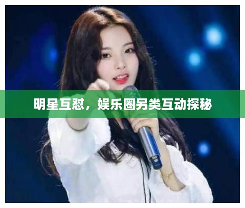 明星互懟，娛樂(lè)圈另類(lèi)互動(dòng)探秘