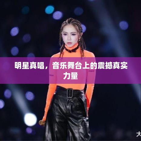 明星真唱，音樂舞臺(tái)上的震撼真實(shí)力量