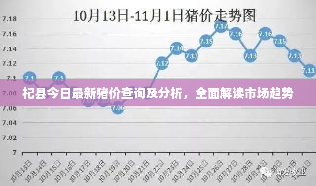 杞縣今日最新豬價查詢及分析，全面解讀市場趨勢