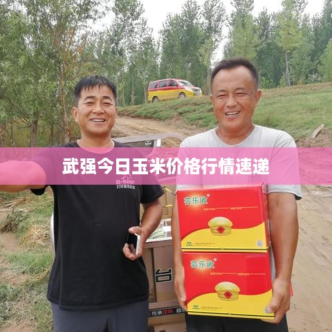 武強(qiáng)今日玉米價格行情速遞