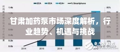 甘肅加藥泵市場(chǎng)深度解析，行業(yè)趨勢(shì)、機(jī)遇與挑戰(zhàn)