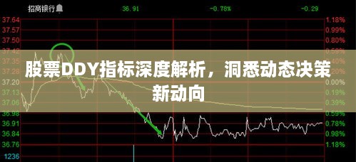 股票DDY指標(biāo)深度解析，洞悉動(dòng)態(tài)決策新動(dòng)向