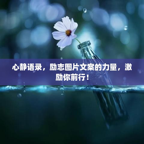心靜語錄，勵(lì)志圖片文案的力量，激勵(lì)你前行！