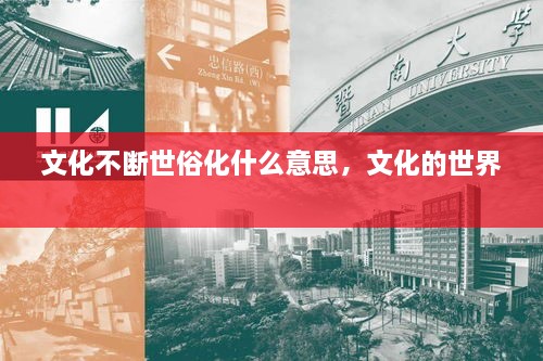 文化不斷世俗化什么意思，文化的世界 