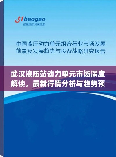 武漢液壓站動(dòng)力單元市場(chǎng)深度解讀，最新行情分析與趨勢(shì)預(yù)測(cè)