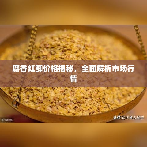 麝香紅鯽價格揭秘，全面解析市場行情