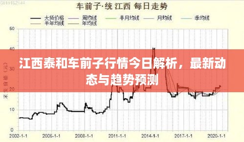 江西泰和車前子行情今日解析，最新動態(tài)與趨勢預測