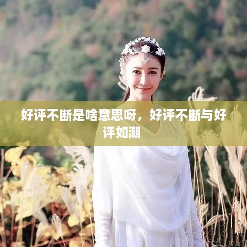 好評不斷是啥意思呀，好評不斷與好評如潮 