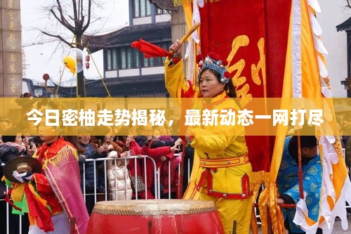 今日密柚走勢揭秘，最新動態(tài)一網(wǎng)打盡
