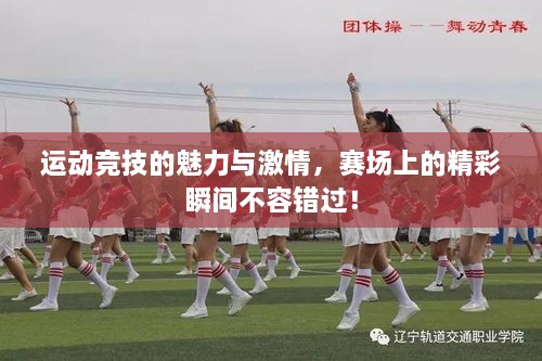 運動競技的魅力與激情，賽場上的精彩瞬間不容錯過！