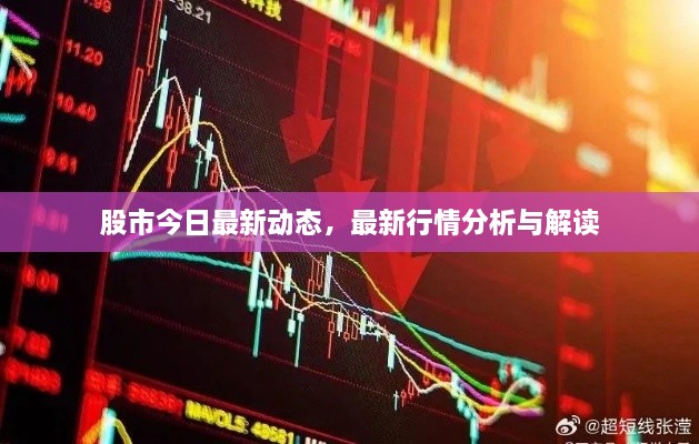股市今日最新動態(tài)，最新行情分析與解讀