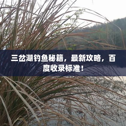 三岔湖釣魚秘籍，最新攻略，百度收錄標準！