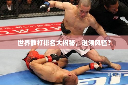 世界散打排名大揭秘，誰(shuí)領(lǐng)風(fēng)騷？