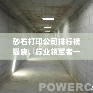 砂石打印公司排行榜揭曉，行業(yè)領(lǐng)軍者一覽