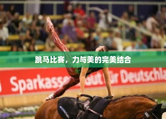 跳馬比賽，力與美的完美結(jié)合