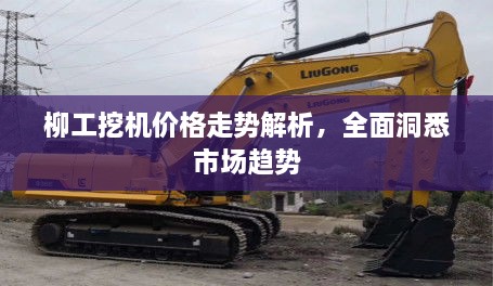 柳工挖機(jī)價(jià)格走勢解析，全面洞悉市場趨勢