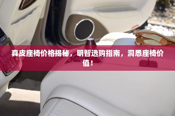 真皮座椅價格揭秘，明智選購指南，洞悉座椅價值！
