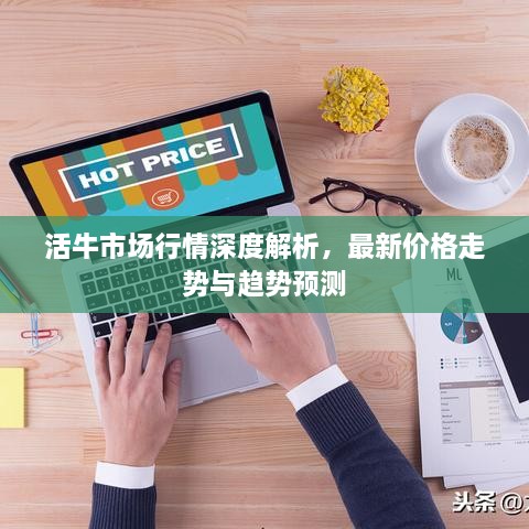 活牛市場(chǎng)行情深度解析，最新價(jià)格走勢(shì)與趨勢(shì)預(yù)測(cè)