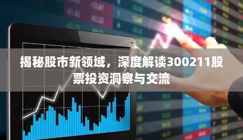 揭秘股市新領(lǐng)域，深度解讀300211股票投資洞察與交流