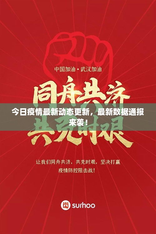 今日疫情最新動態(tài)更新，最新數據通報來襲！