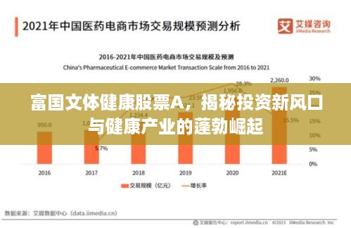 富國(guó)文體健康股票A，揭秘投資新風(fēng)口與健康產(chǎn)業(yè)的蓬勃崛起