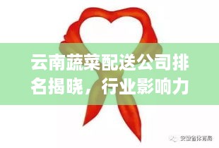 云南蔬菜配送公司排名揭曉，行業(yè)影響力大揭秘！
