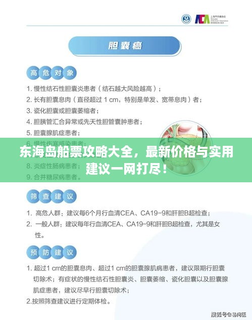 東海島船票攻略大全，最新價(jià)格與實(shí)用建議一網(wǎng)打盡！