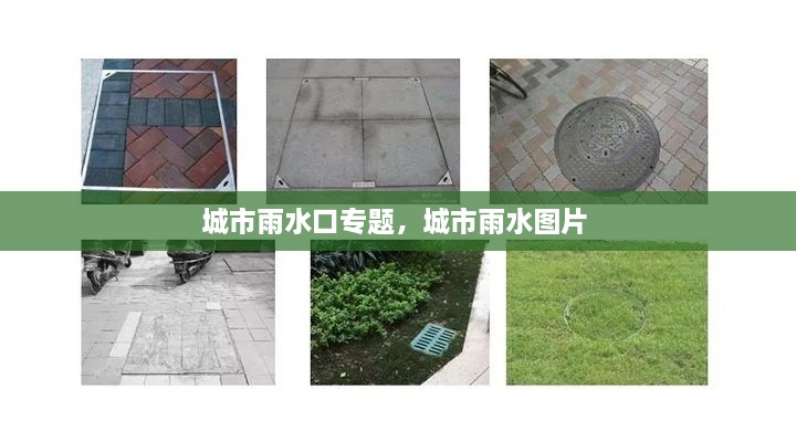 城市雨水口專題，城市雨水圖片 