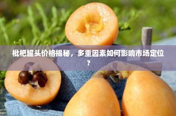 枇杷罐頭價格揭秘，多重因素如何影響市場定位？