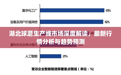 湖北球磨生產(chǎn)線(xiàn)市場(chǎng)深度解讀，最新行情分析與趨勢(shì)預(yù)測(cè)