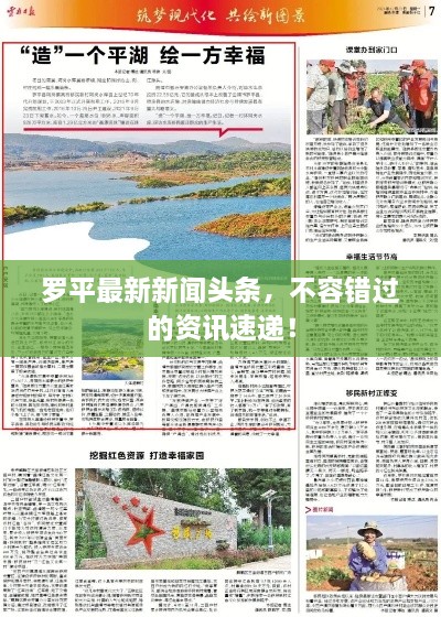 羅平最新新聞頭條，不容錯過的資訊速遞！