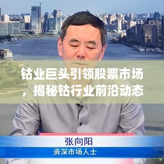 鈷業(yè)巨頭引領(lǐng)股票市場，揭秘鈷行業(yè)前沿動態(tài)與未來趨勢