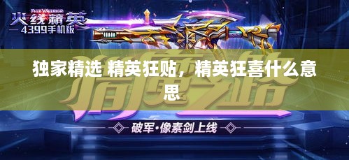獨家精選 精英狂貼，精英狂喜什么意思 