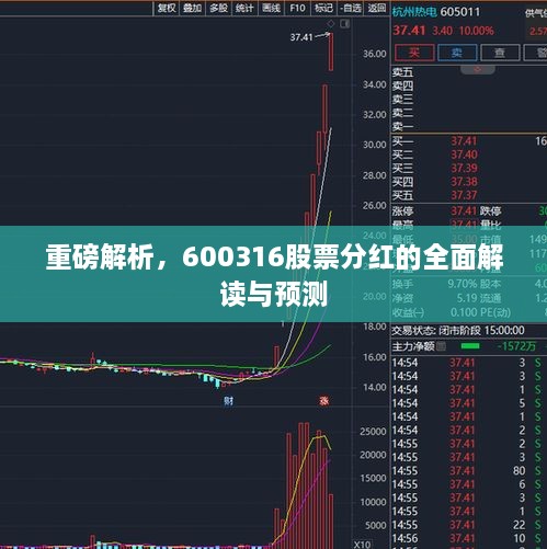 重磅解析，600316股票分紅的全面解讀與預(yù)測(cè)