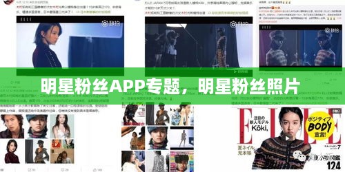 雍容典雅