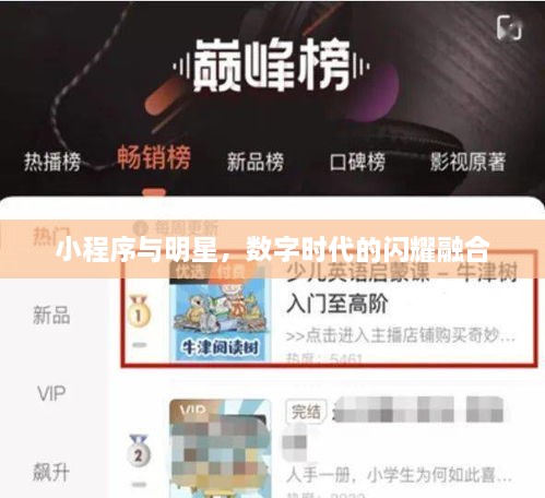 小程序與明星，數(shù)字時代的閃耀融合
