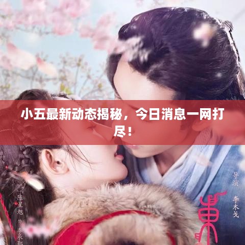 小五最新動(dòng)態(tài)揭秘，今日消息一網(wǎng)打盡！