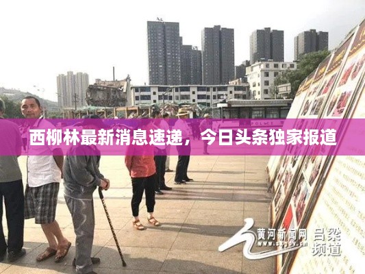 西柳林最新消息速遞，今日頭條獨(dú)家報(bào)道